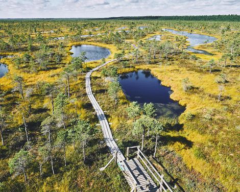 Geschichte, Natur und Kultur in drei Ländern-0