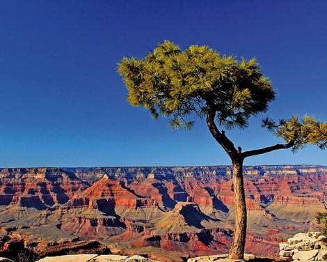 Grand Canyon, Yosemite & mehr: Naturwunder hautnah erleben-2