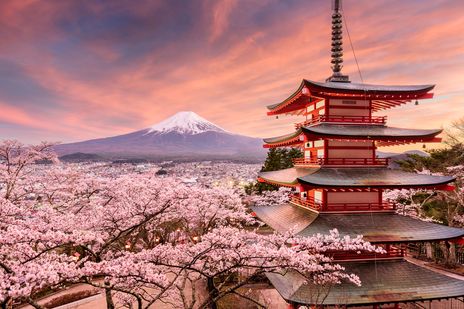 Kirschblüten mit Blick auf den Fuji und eine Pagode, Japan