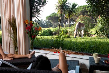 Chillen im Hotel mit Blick auf den Garten
