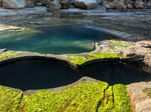 Figure 8 Pool im Royal National Park, Australien