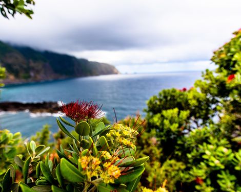 Wandern mit Stil - Ruhe mit Meerblick-2