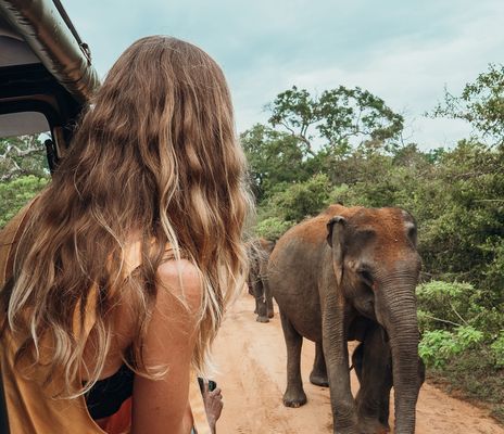 Frau blickt auf Elefanten bei einer Safari