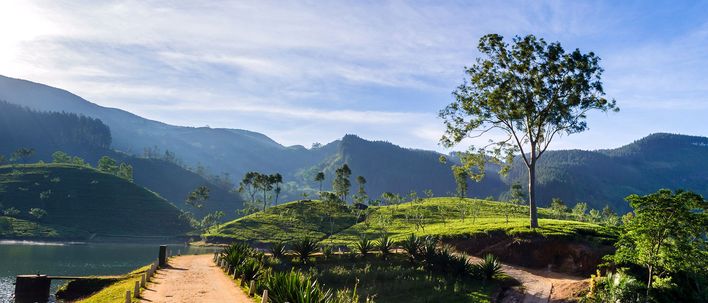 Blick über den ruhigen Sembuwaththa See in Matale, umgeben von grünen Hügeln und Wäldern