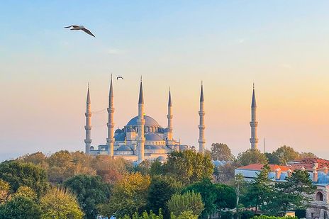 Blaue Moschee in Istanbul mit Minaretten bei Sonnenuntergang und fliegender Möwe am Himmel