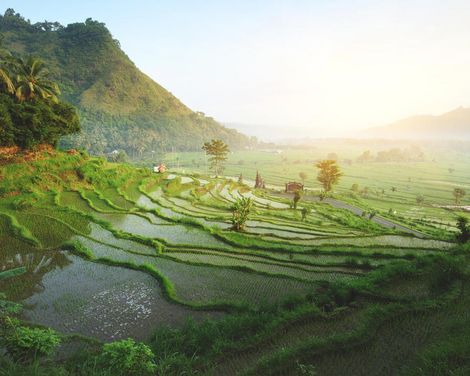 Vulkanlandschaften & Tempelzauber-2