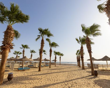 Erholungsurlaub im Hotel Amwaj Beach Club Abu Soma
