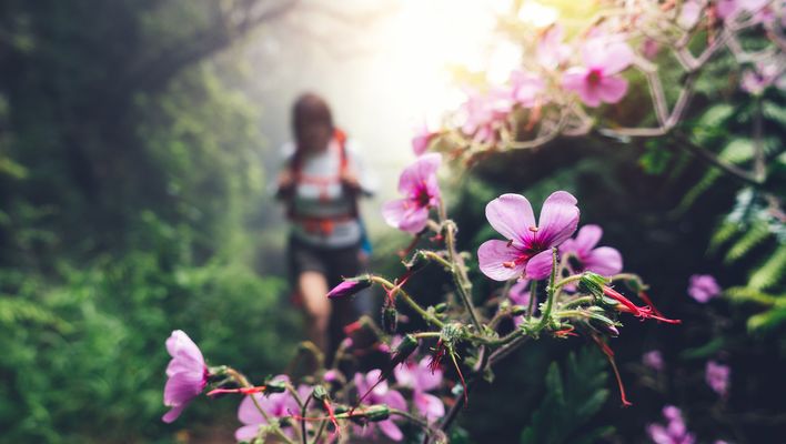Wanderin auf Madeira mit Kirschblüte im Vordergrund
