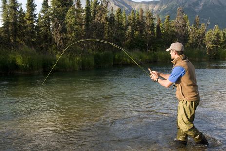 Angler fischt in einem Fluss in Alaska, umgeben von Wald und Bergen