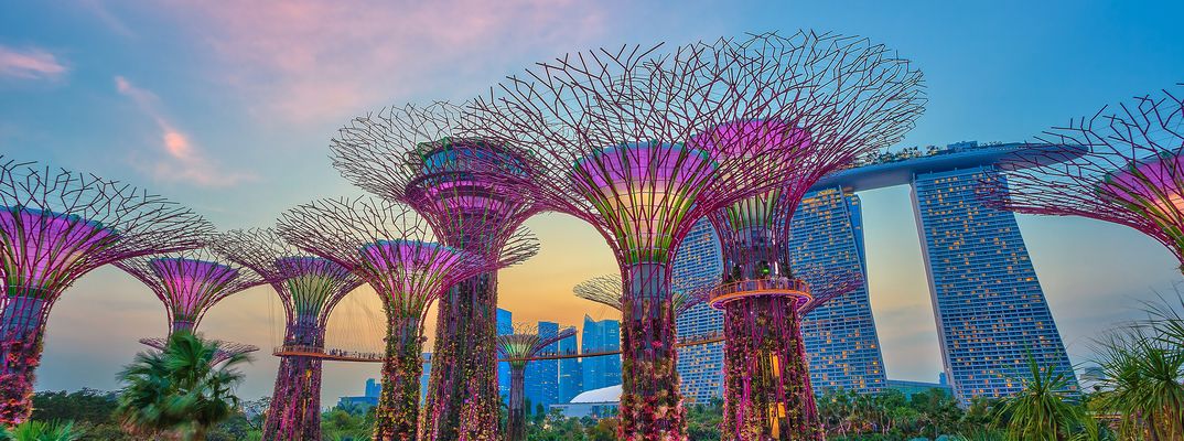 Beleuchtete Supertrees in den Gardens by the Bay in Singapur bei Dämmerung