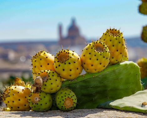 Geschichte erleben, Inseln genießen - Malta & Gozo im Einklang-2
