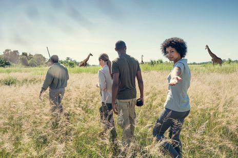 Eine Gruppe auf Safari