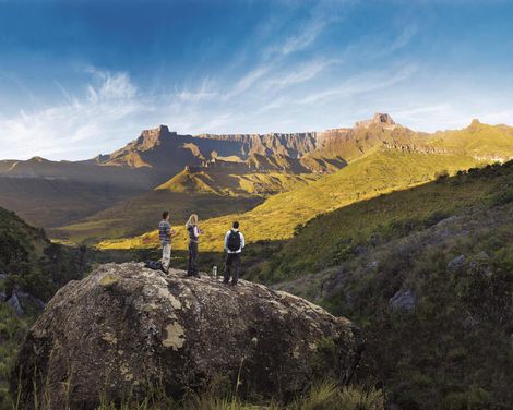 Zwischen Big Five und Drakensbergen-0
