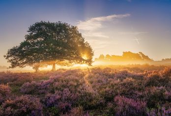 Niederlande - IJssel & Maas