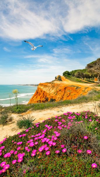 Klippen an der Algarve