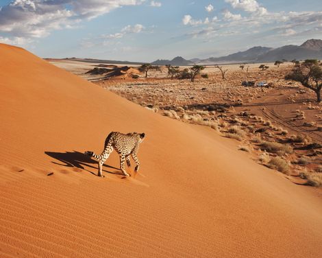Erlebnisse in kleiner Gruppe, großartige Momente in wilder Landschaft-3