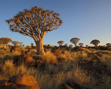 Wilde Weiten. Große Momente.