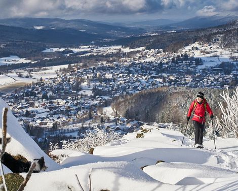 Ferienwohnung für Familien in Bodenmais-2