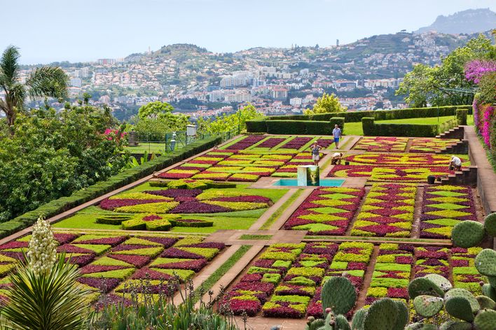 Botanischer Garten in Funchal auf Madeira