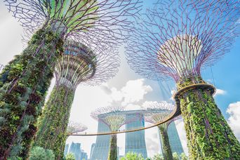 Gardens by the Bay in Singapur