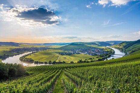 Blick auf die Mosel