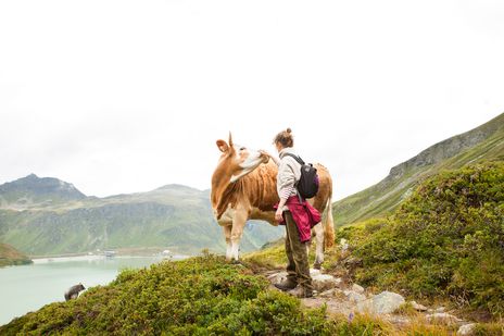 Wanderer und Kuh in Österreich
