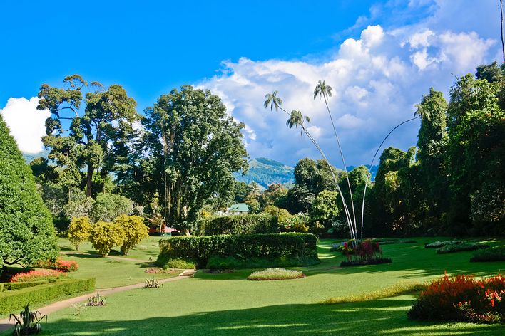 Botanischer Garten in Sri Lanka