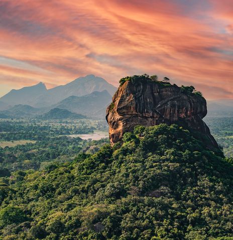 Der mächtige Löwenfelsen Sigiriya im goldenen Licht des Sonnenuntergangs, umgeben von tropischem Dschungel