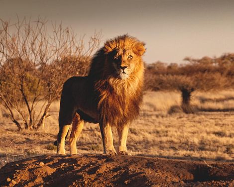 Eine Reise voller Kontraste