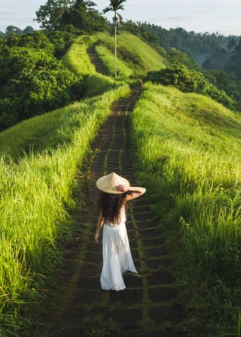 Frau in den Reisfeldern von Ubud