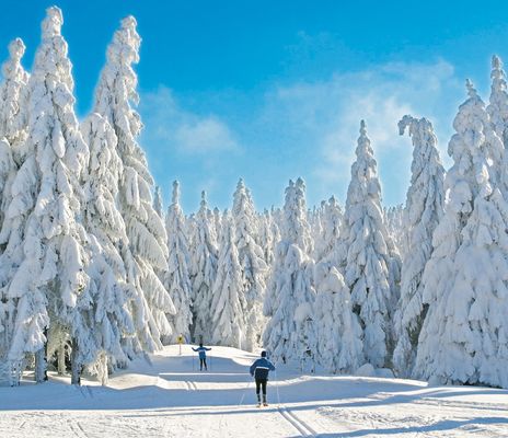 Skifahrer in einer Winterlandschaft