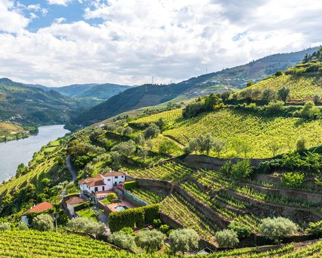 Atlantik, Kultur und lebendige Küstenstädte-0