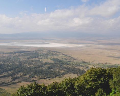 Auf Safari zu den Big Five & Entspannung am Palmenstrand-1