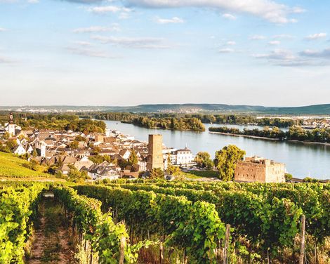 Flusskreuzfahrt mit DCS Amethyst 2 ab/an Köln