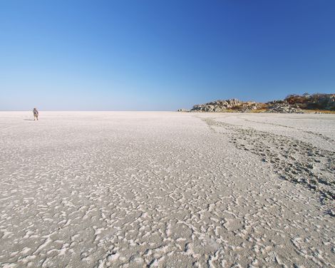 Entdecker-Trio für Afrika-Fans-3