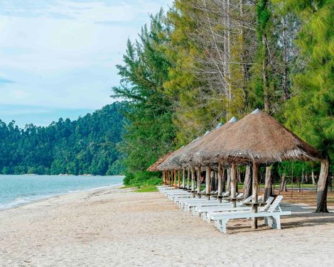 Dschungelabenteuer & Erholung am Strand im 5-Sterne-Hotel-1