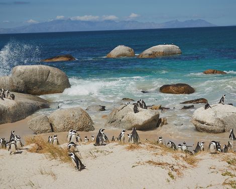 Kapstadt, Küsten & Kultur-2