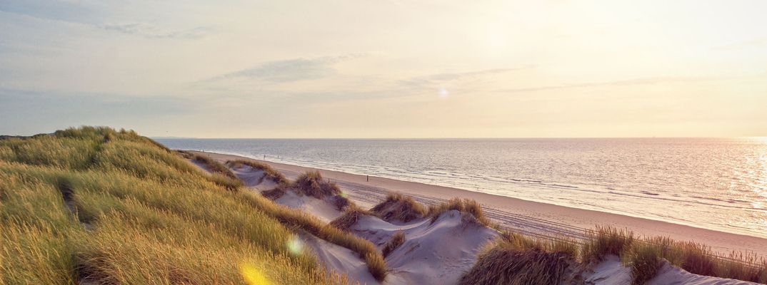 Strand in den Niederlanden
