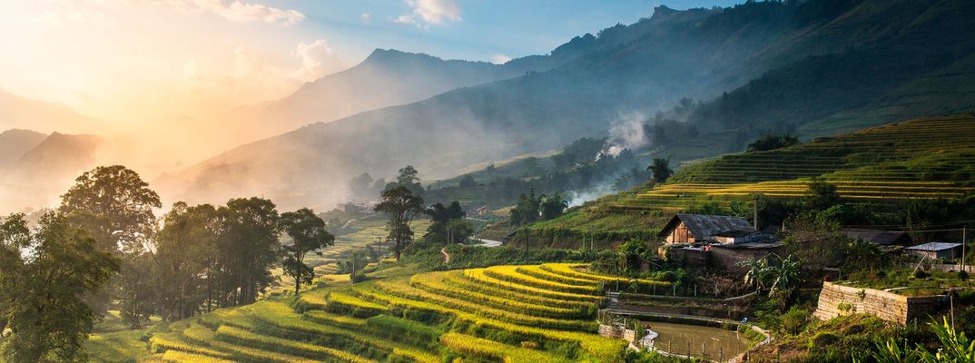 Reisterassen in Vietnam