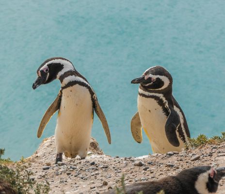 USA, Karibik & Südamerika