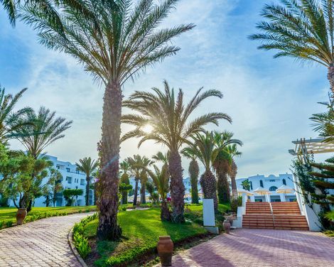Erholungsurlaub mit Aufenthalt im Club Hotel Palm Azur-2