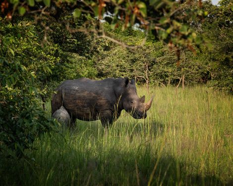 Gänsehautmomente im Herzen Afrikas-0
