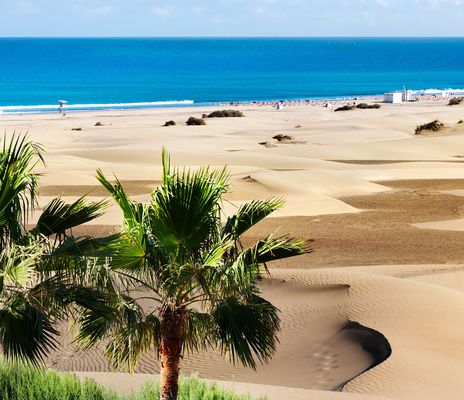 Dünen von Maspalomas