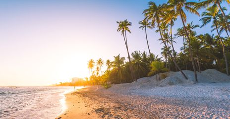 Sonnenuntergang an einem Palmenstrand in der Dominikanischen Republik mit weißem Sand und ruhigem Meer