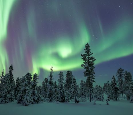 Polarlichter in Schweden