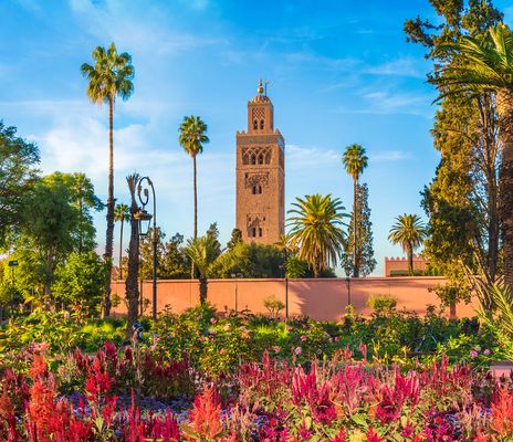 Blumen und Palmen in Marrakesch