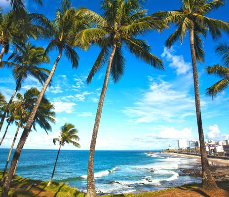 Salvador da Bahia Strand mit Palmen