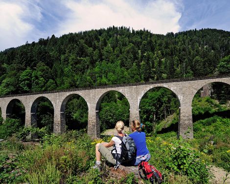 Urlaubsspaß im 4-Sterne-Hotel Hofgut Sternen in Breitnau-0