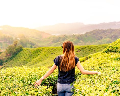 Kreuzfahrt mit der Diamond Princess ab/an Singapur inkl. Malaysia-Rundreise-1