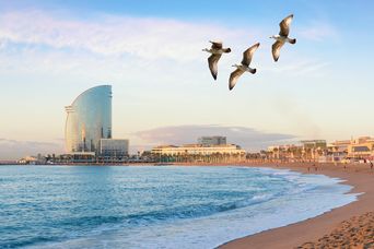 Strand in Barcelona